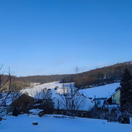 Modernes Rhombushaus Im Naturparadies Sauerland Balve Exterior photo