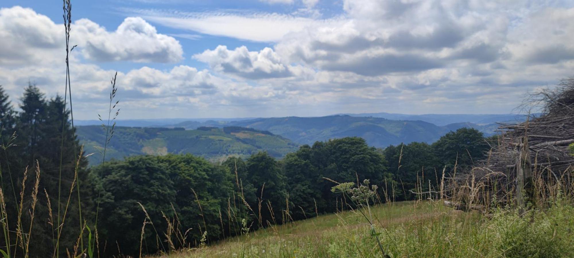 Modernes Rhombushaus Im Naturparadies Sauerland Balve Exterior photo