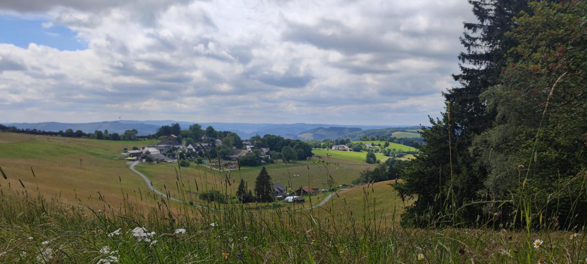 Modernes Rhombushaus Im Naturparadies Sauerland Balve Exterior photo