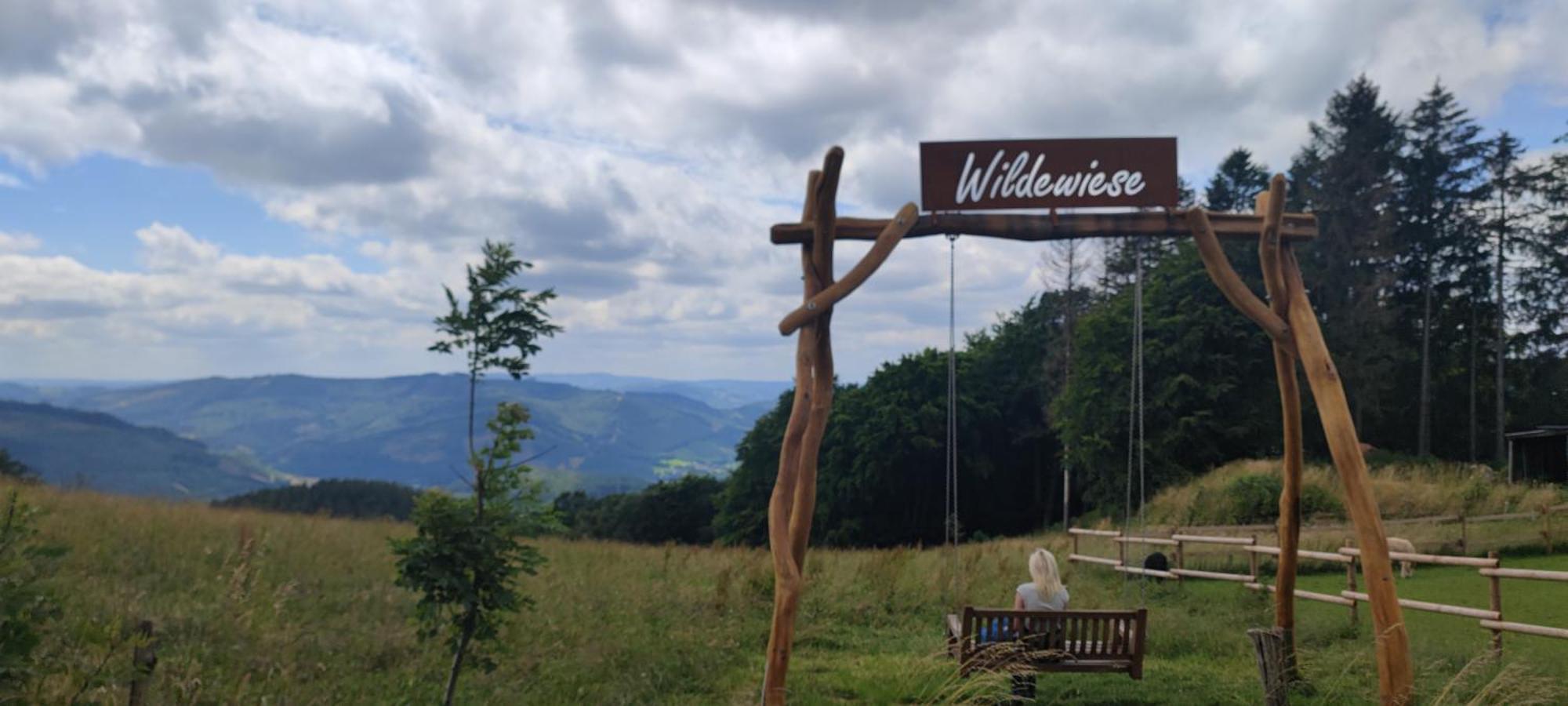 Modernes Rhombushaus Im Naturparadies Sauerland Balve Exterior photo