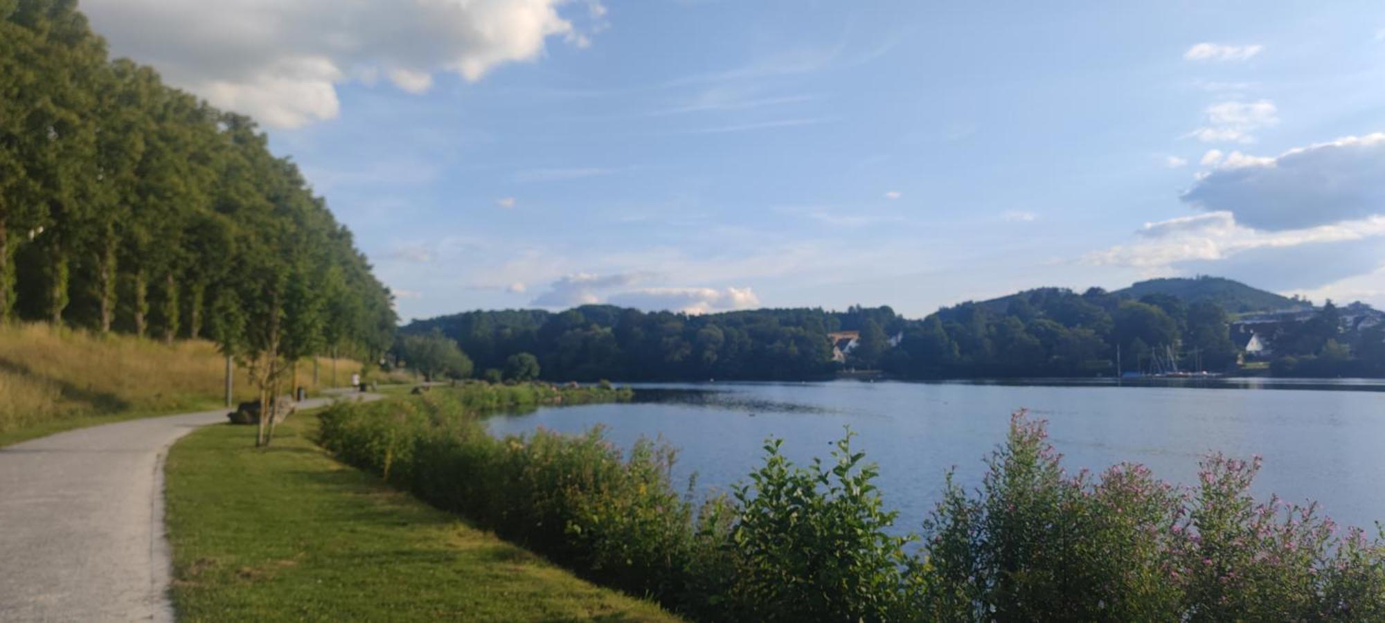 Modernes Rhombushaus Im Naturparadies Sauerland Balve Exterior photo