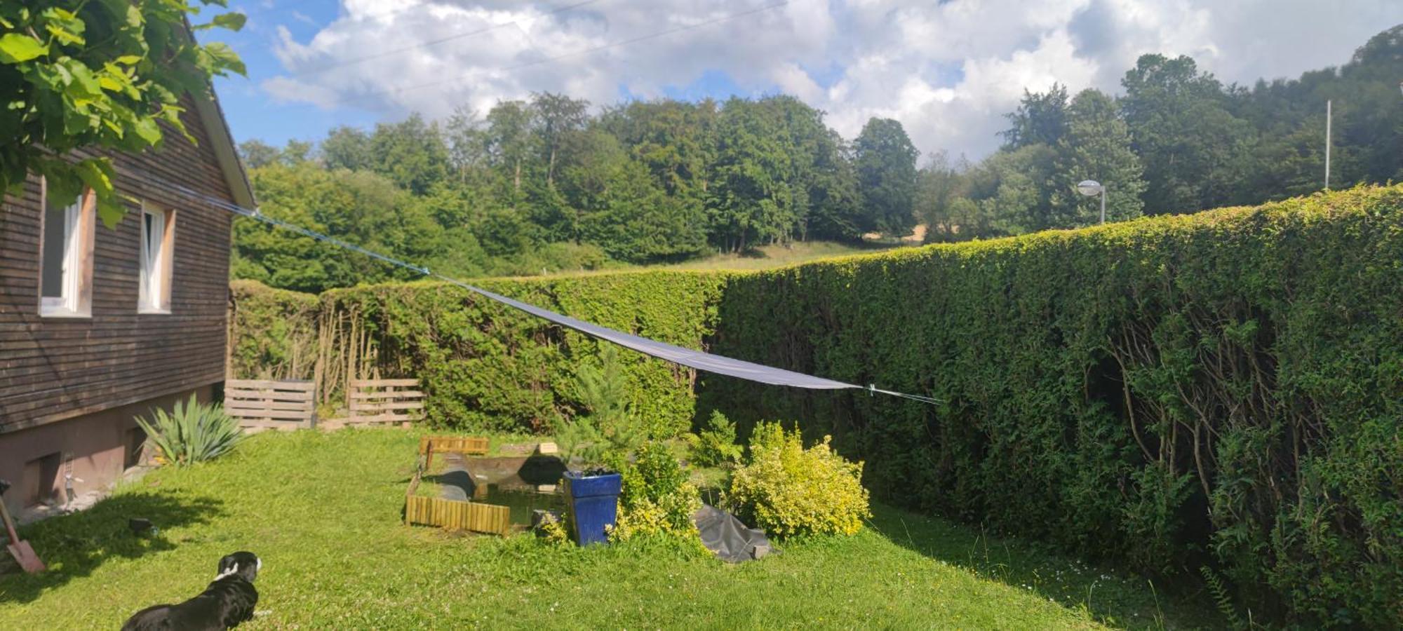 Modernes Rhombushaus Im Naturparadies Sauerland Balve Exterior photo