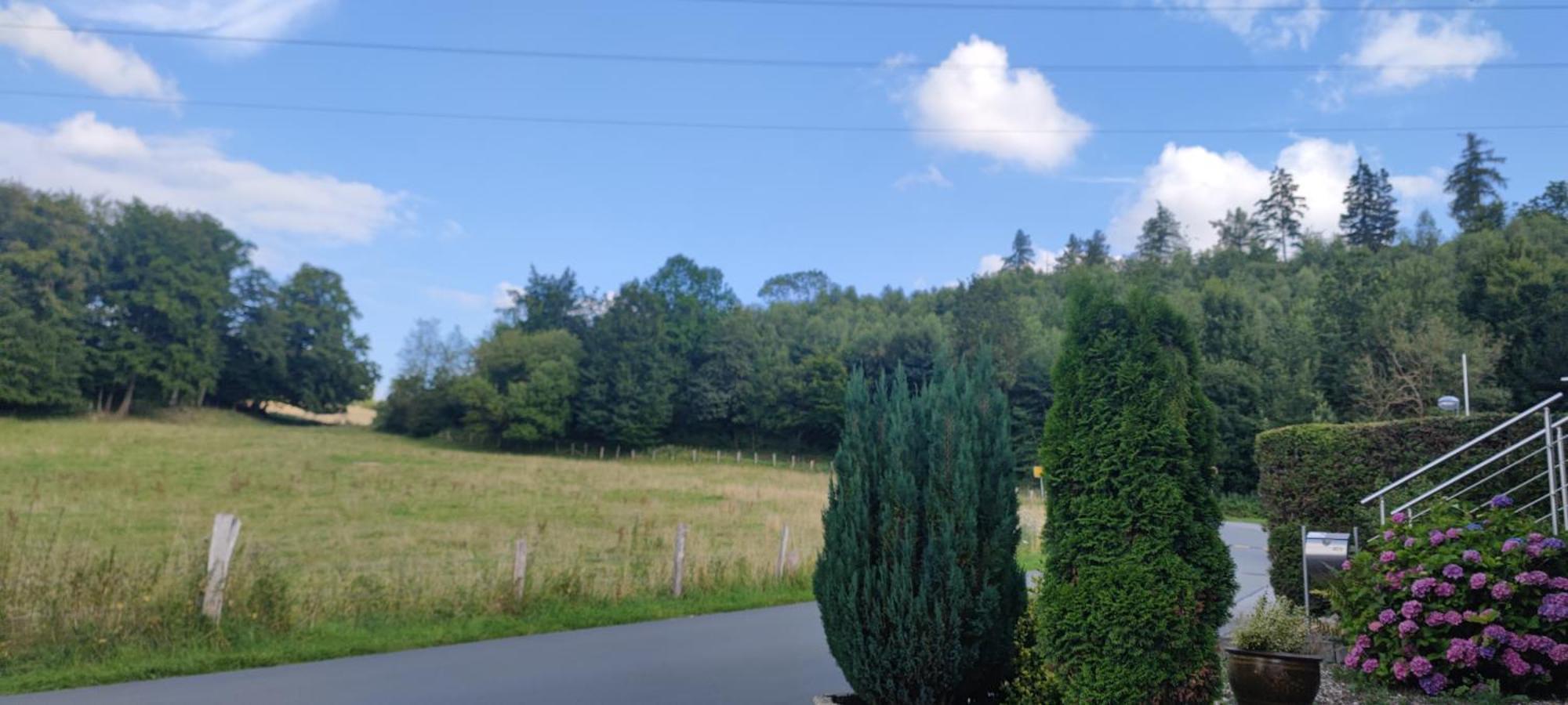 Modernes Rhombushaus Im Naturparadies Sauerland Balve Exterior photo