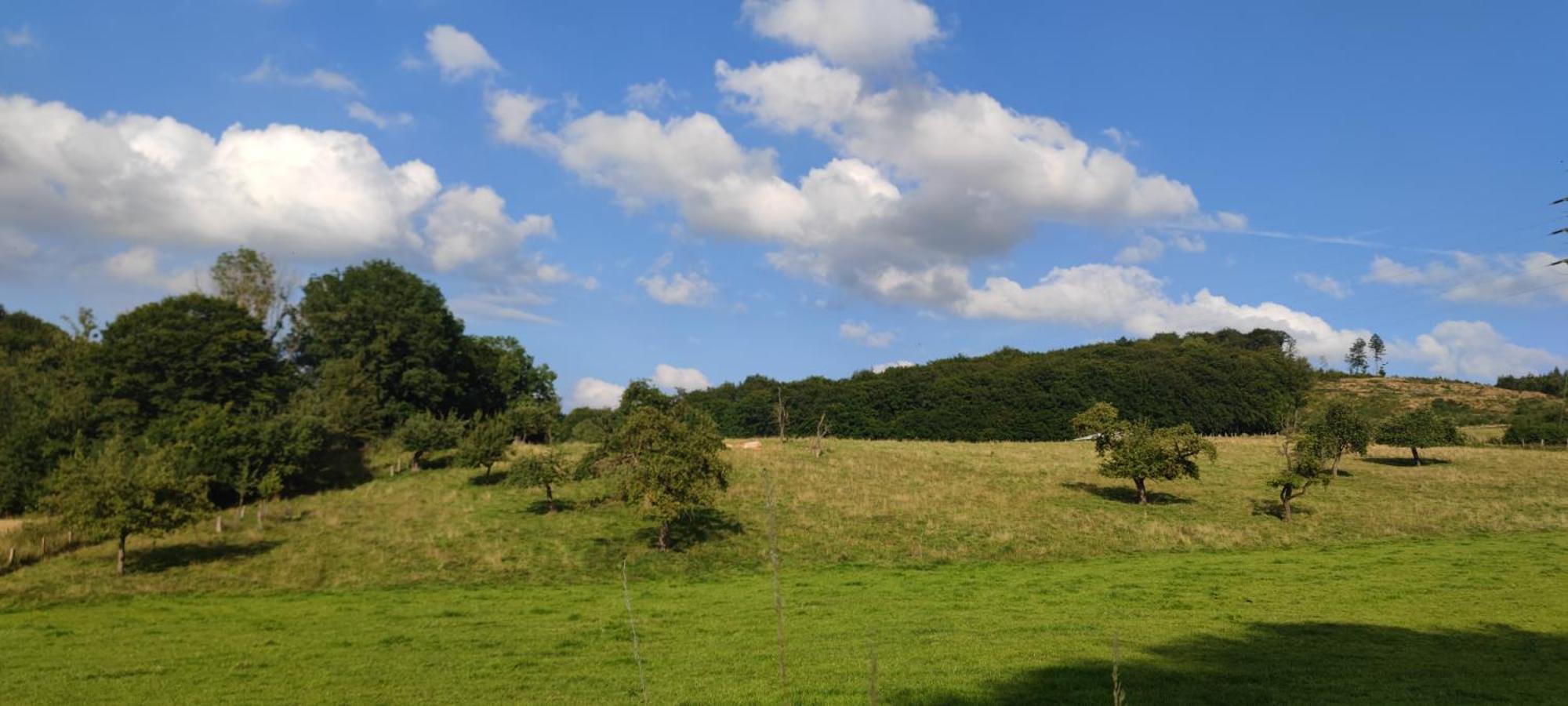 Modernes Rhombushaus Im Naturparadies Sauerland Balve Exterior photo